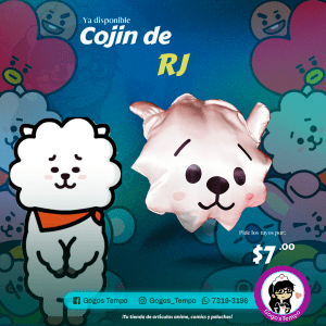 Cojin BTS RJ, BT21