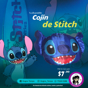 Cojin Stitch